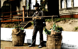 Vegetable Vendor